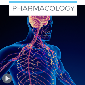 Sympathetic vs parasympathetic nervous system - nursing pharmacology